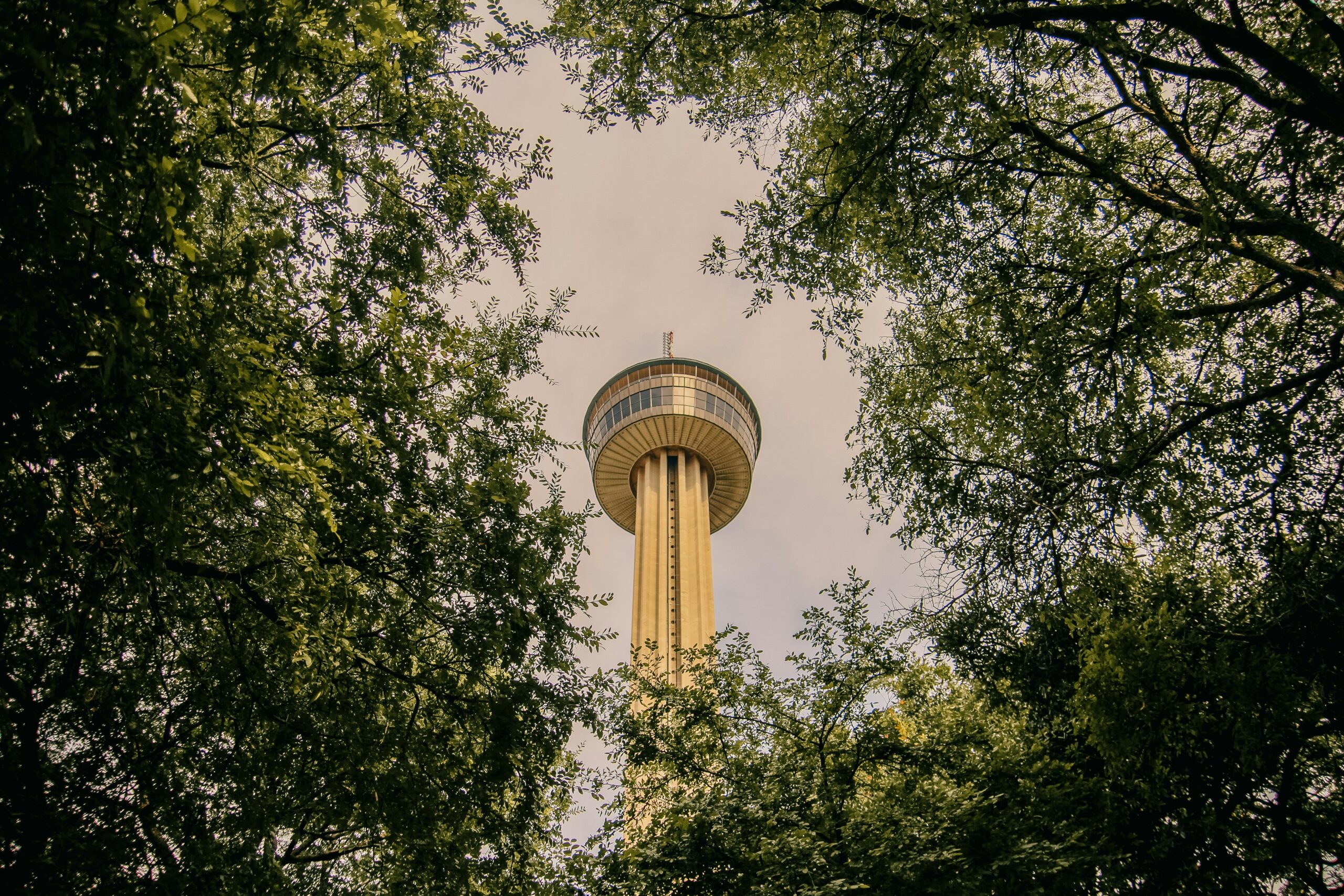 A tall observation tower amidst lush trees under a clear sky.